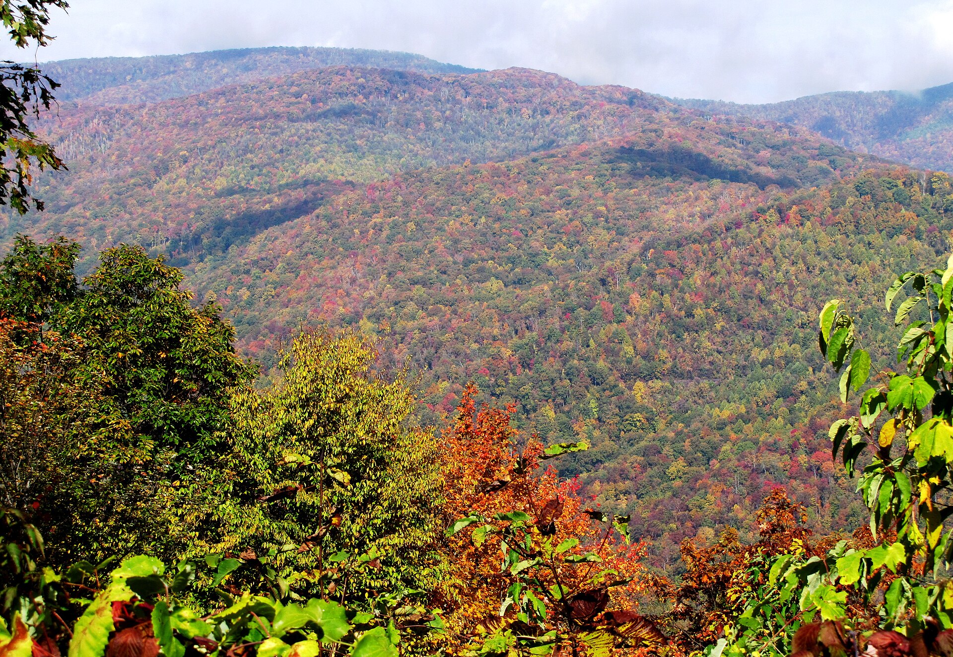 Ridges in mixed autumn color from a Skyway overlook